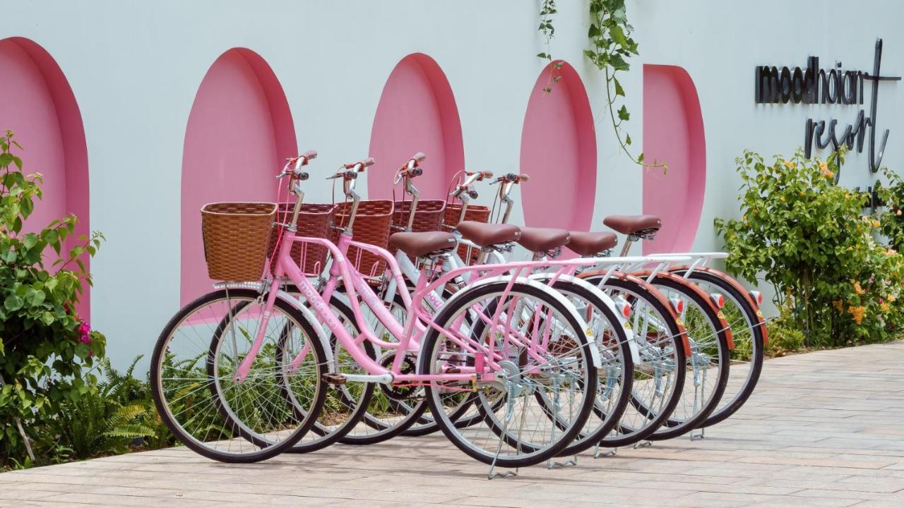 Moodhoian Riverside Resort & Spa ホイアン エクステリア 写真